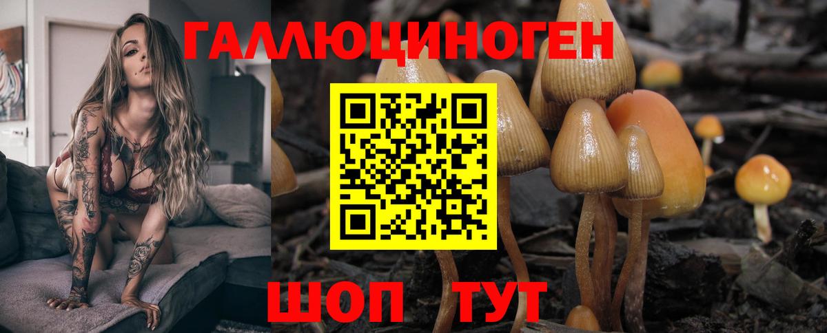 Псилоцибиновые грибы GOLDEN TEACHER  Вход с VPN  что такое   Мценск 